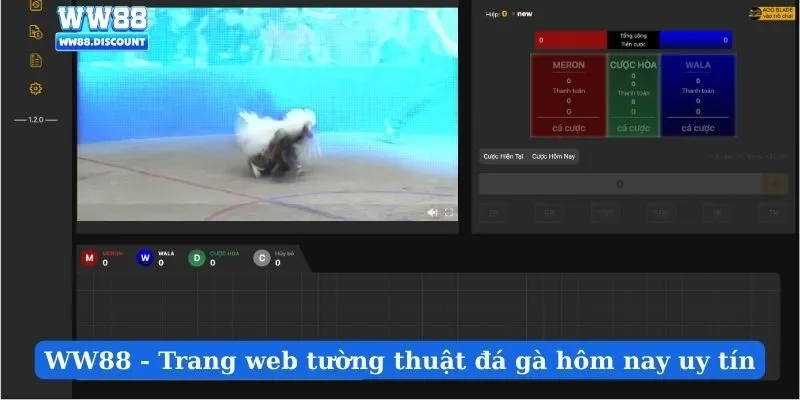WW88 - Trang web tường thuật đá gà hôm nay uy tín